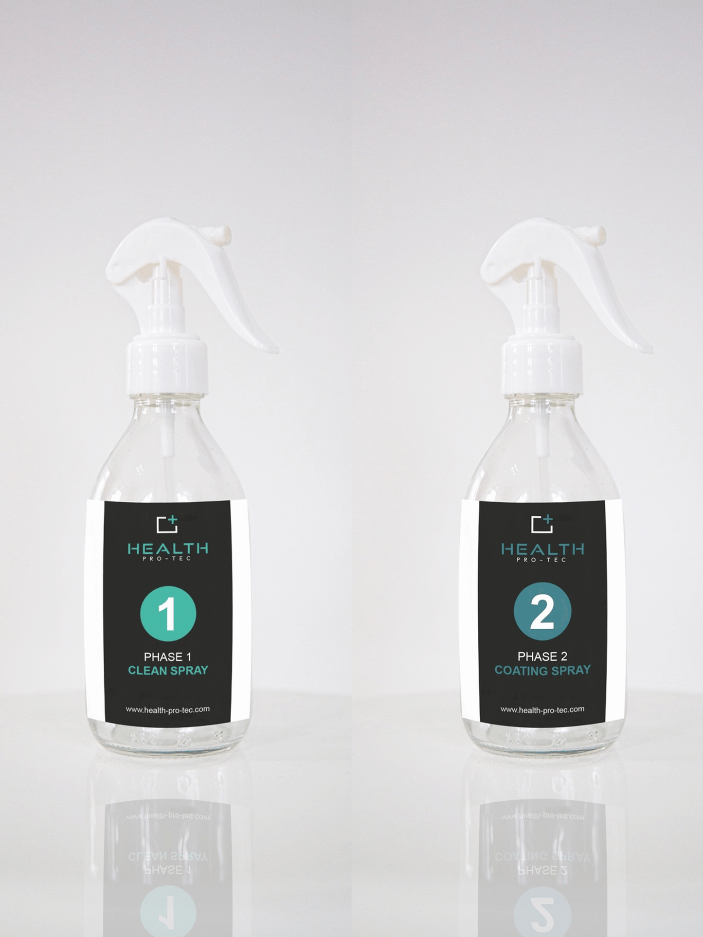 CleanForYear Spray-Kit 250 ml - Health Pro-Tec GmbH